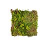 Daktuin element ECO (kant en klaar) bovenaanzicht